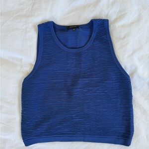 Aritzia Ribbed Blue Tank Top S